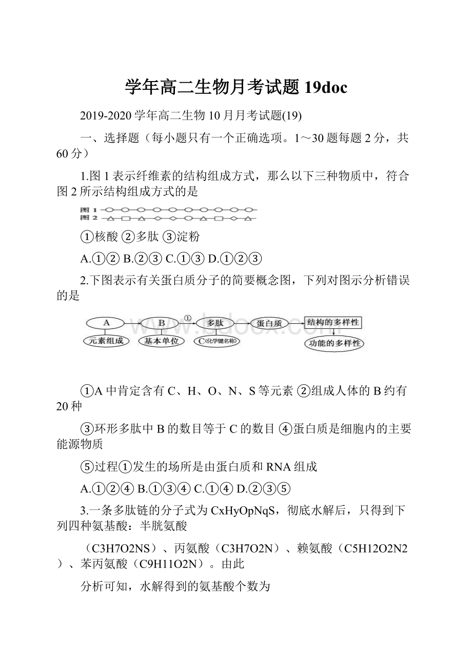 学年高二生物月考试题19doc.docx