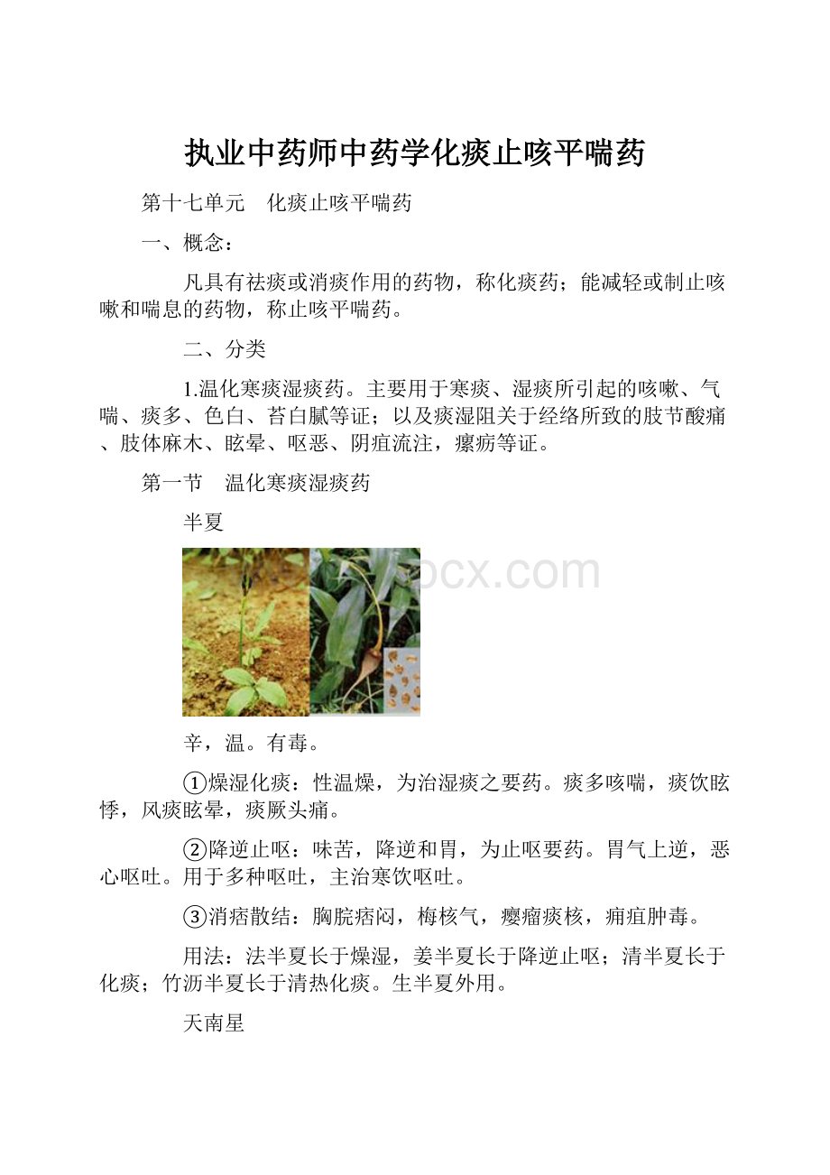 执业中药师中药学化痰止咳平喘药.docx_第1页