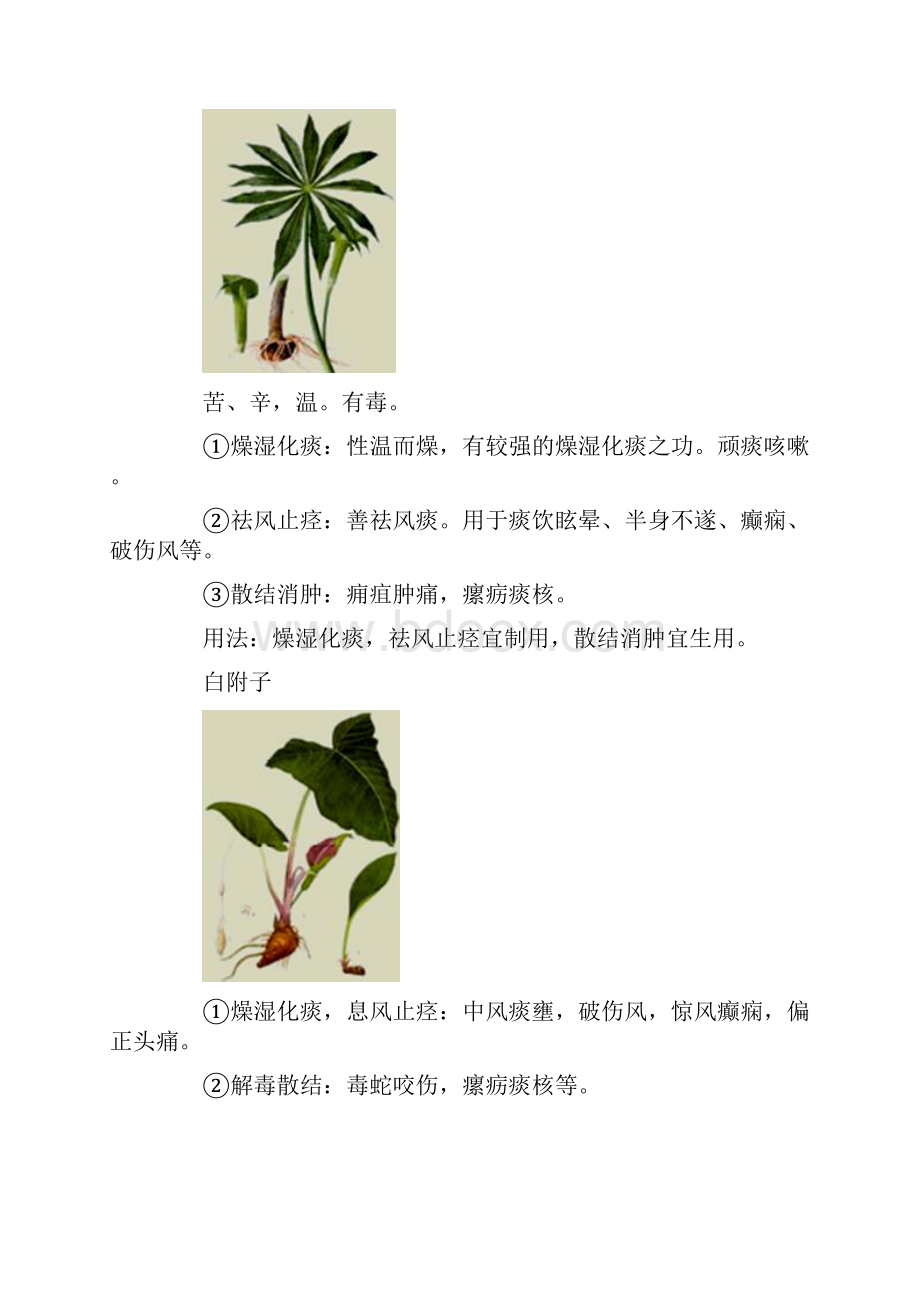 执业中药师中药学化痰止咳平喘药.docx_第2页