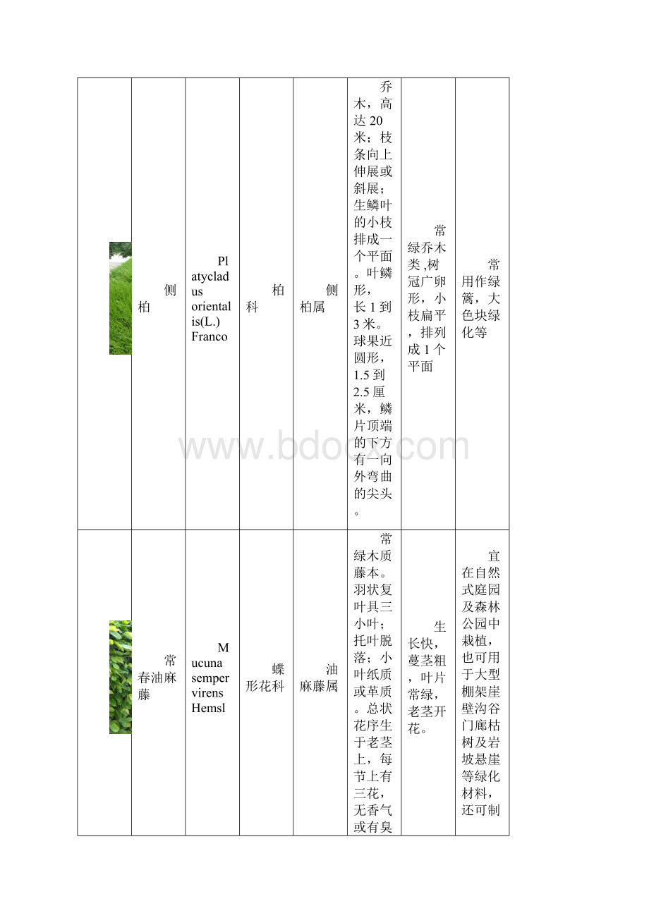 树木实习.docx_第2页