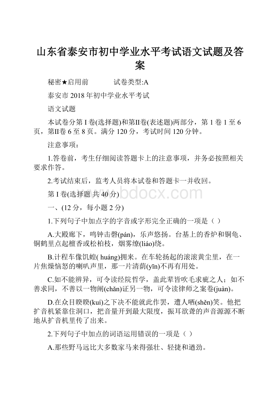 山东省泰安市初中学业水平考试语文试题及答案.docx