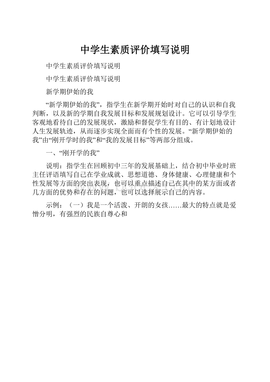 中学生素质评价填写说明.docx_第1页