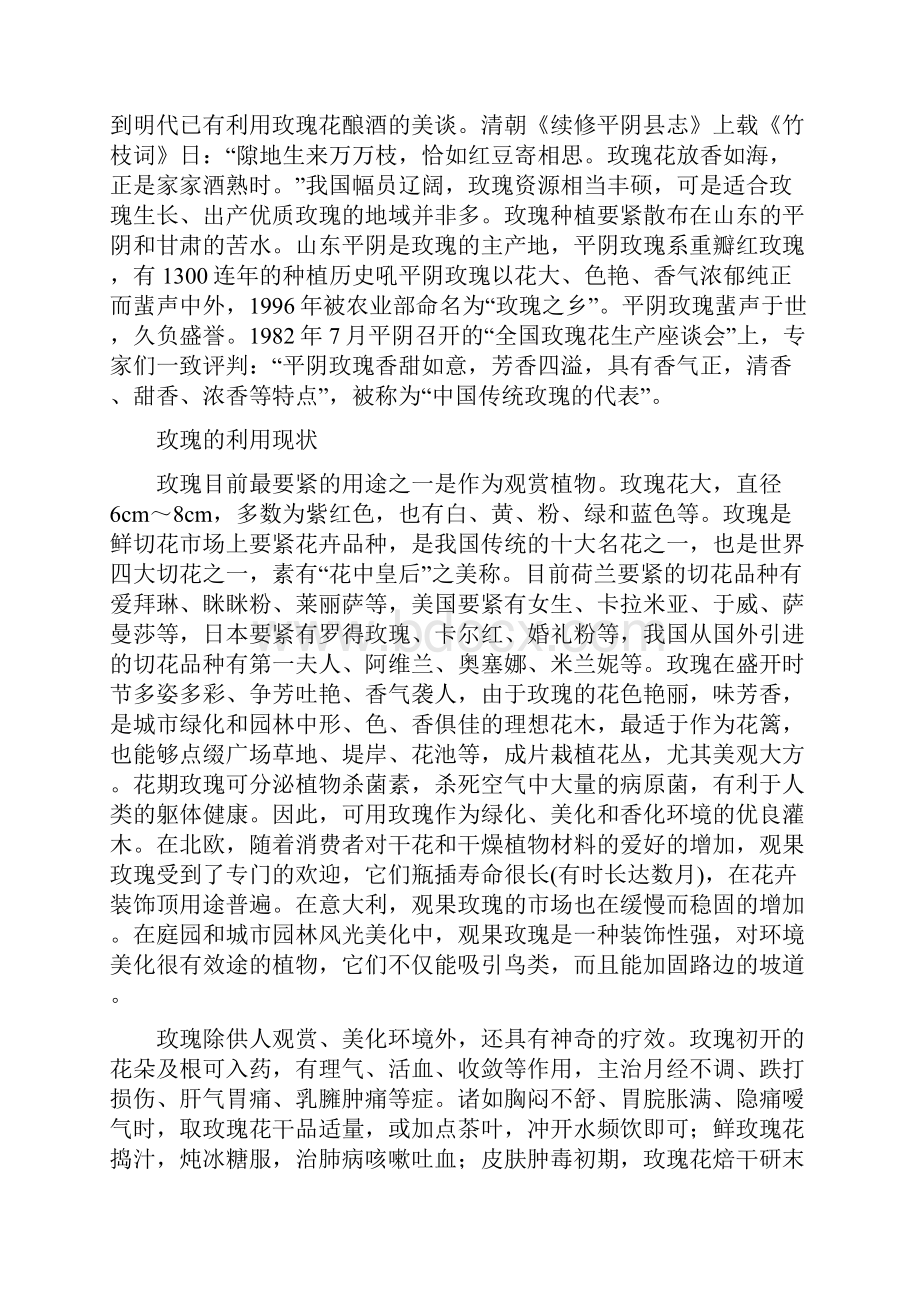 玫瑰精油提取工艺设计.docx_第2页