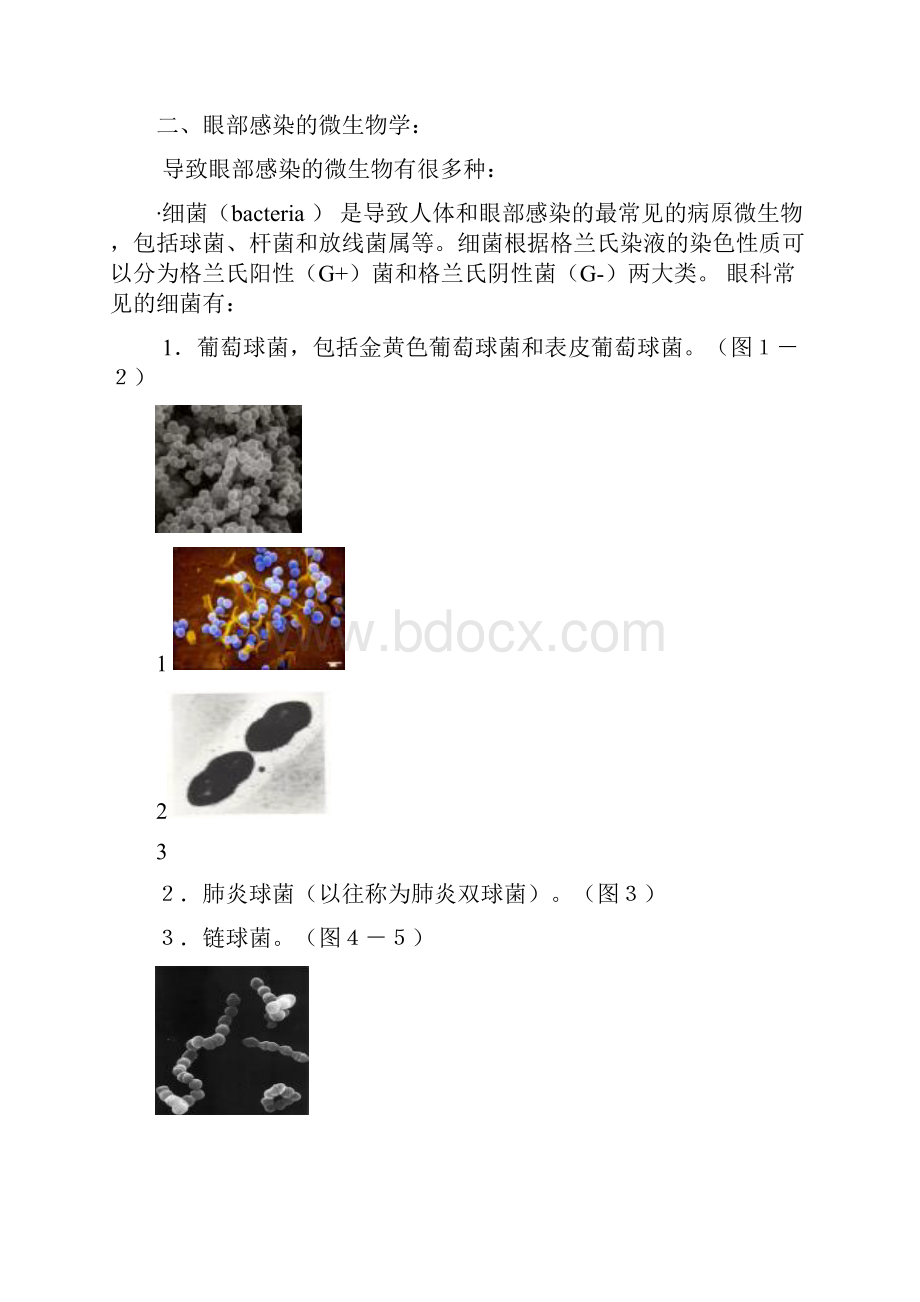 眼部感染与炎症.docx_第2页