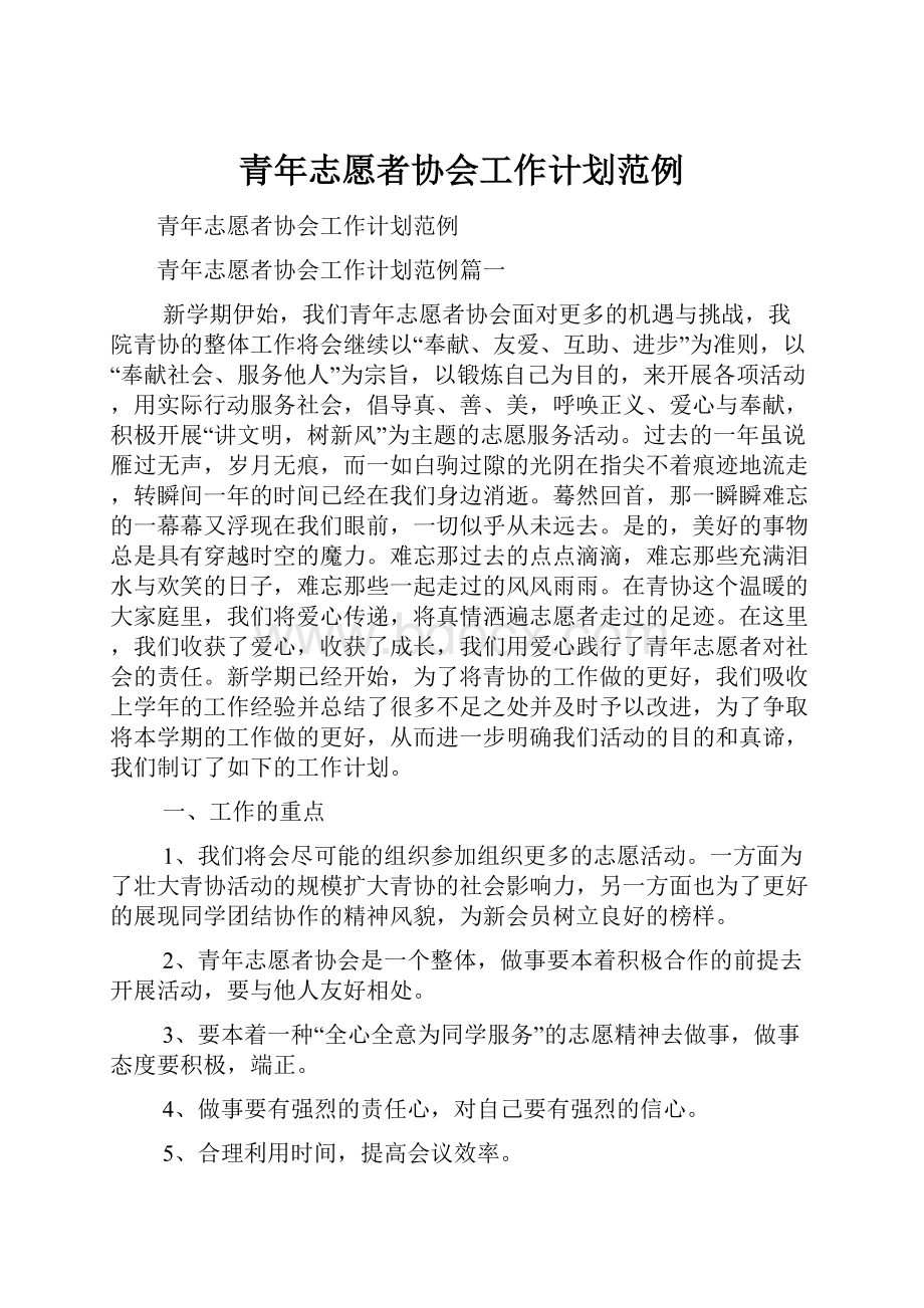 青年志愿者协会工作计划范例.docx