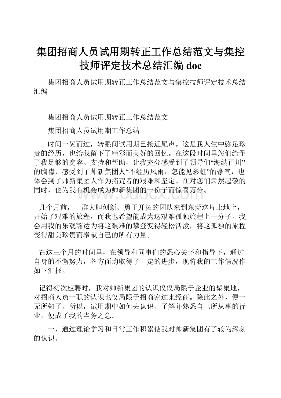 集团招商人员试用期转正工作总结范文与集控技师评定技术总结汇编doc.docx