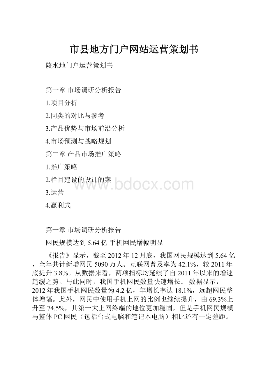 市县地方门户网站运营策划书.docx_第1页