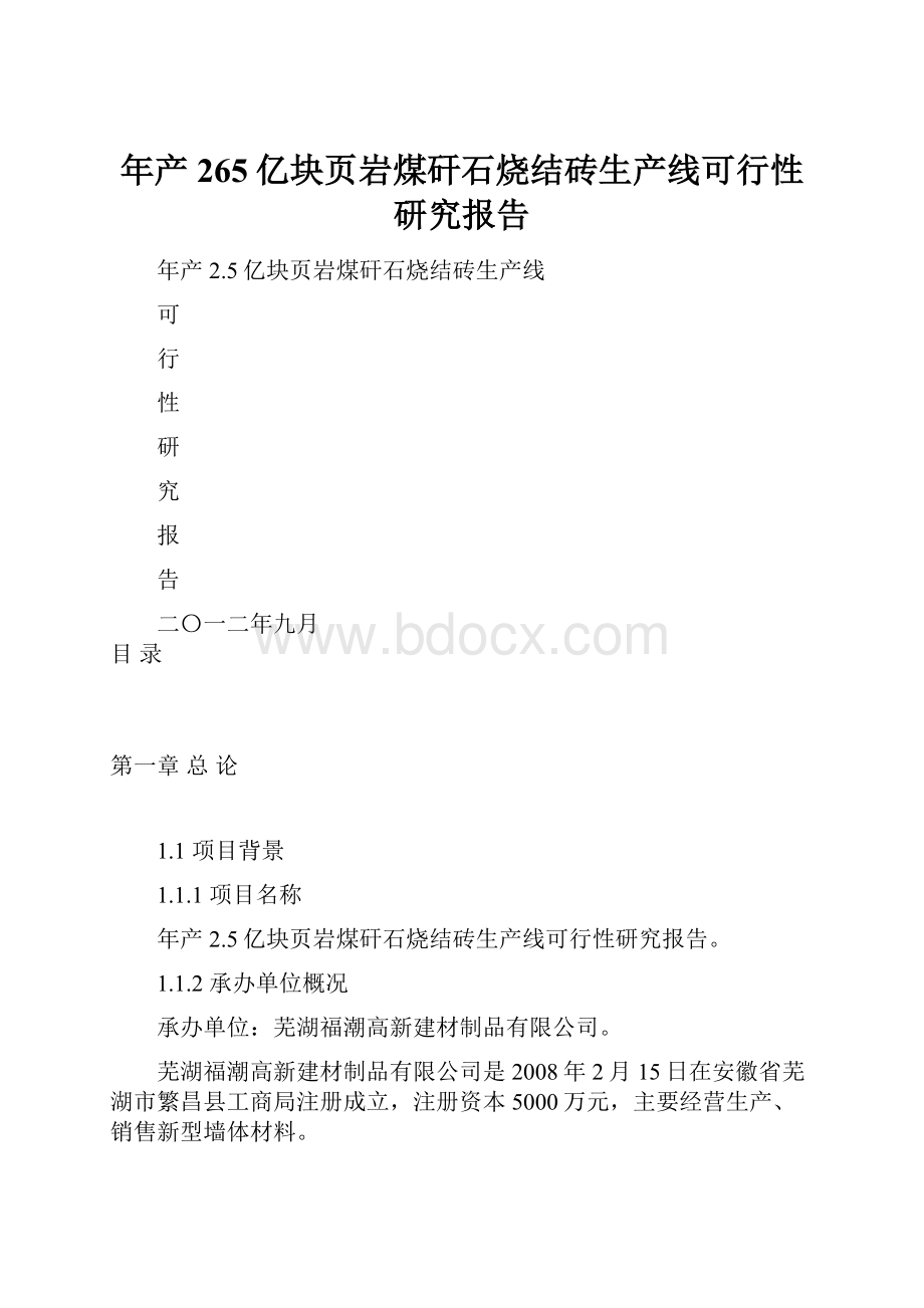 年产265亿块页岩煤矸石烧结砖生产线可行性研究报告.docx