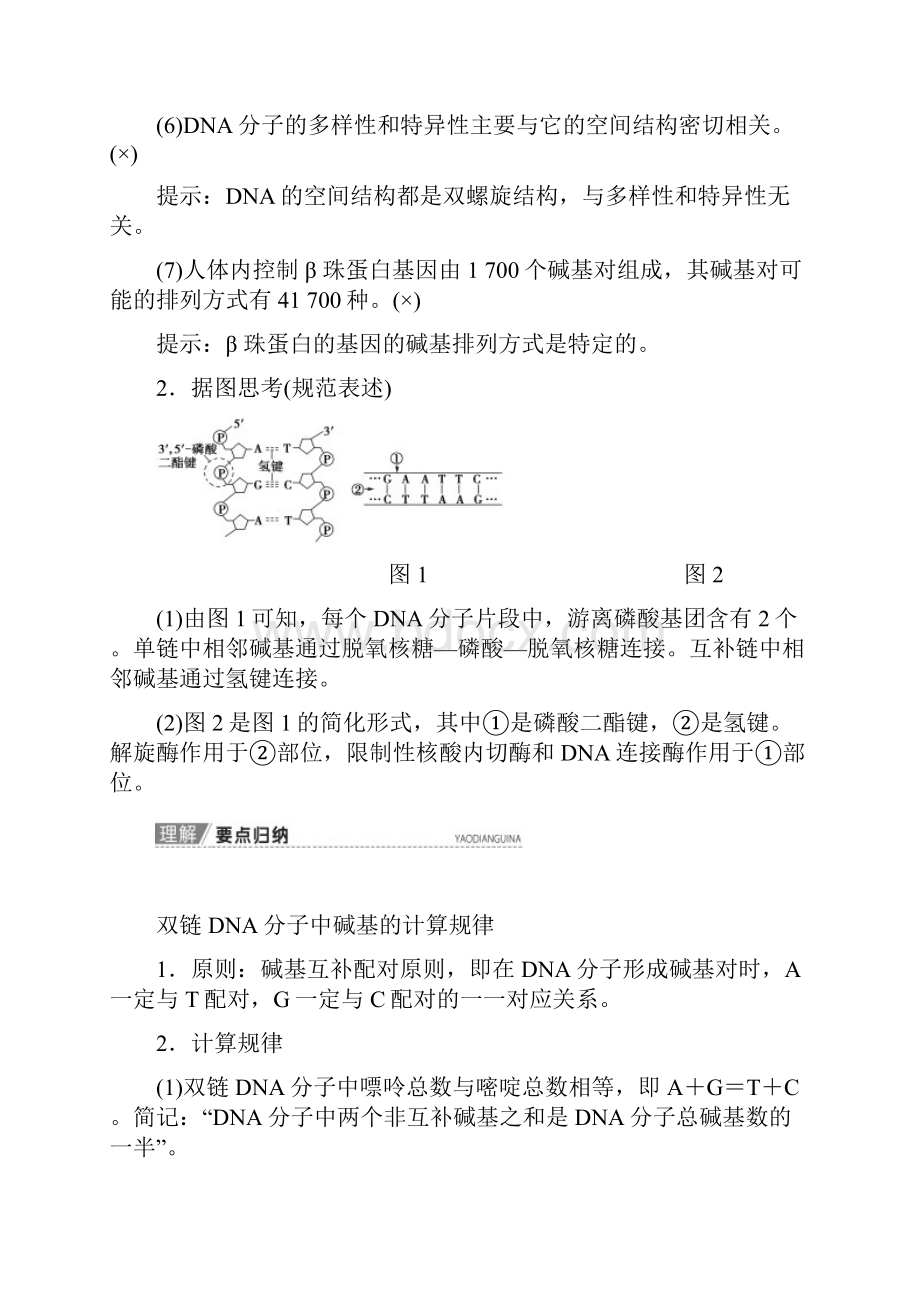 高考苏教版生物一轮必修2 第6单元 第2讲 DNA分子的结构复制与基因的本质.docx_第3页