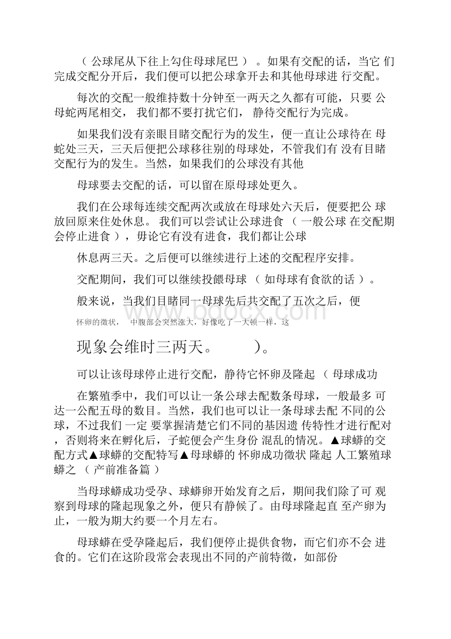 《球蟒繁殖完全攻略》.docx_第3页