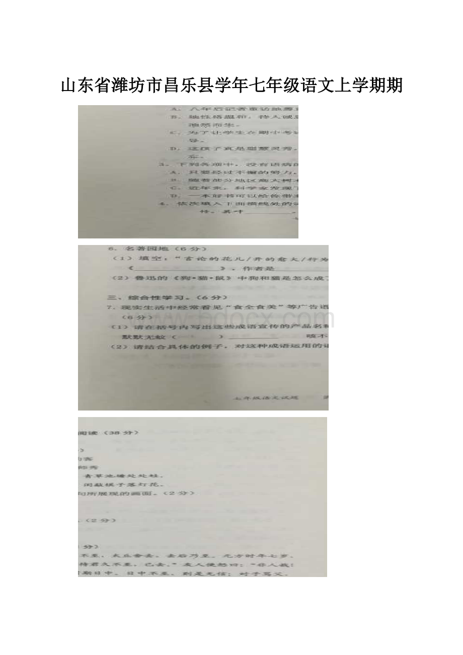 山东省潍坊市昌乐县学年七年级语文上学期期.docx