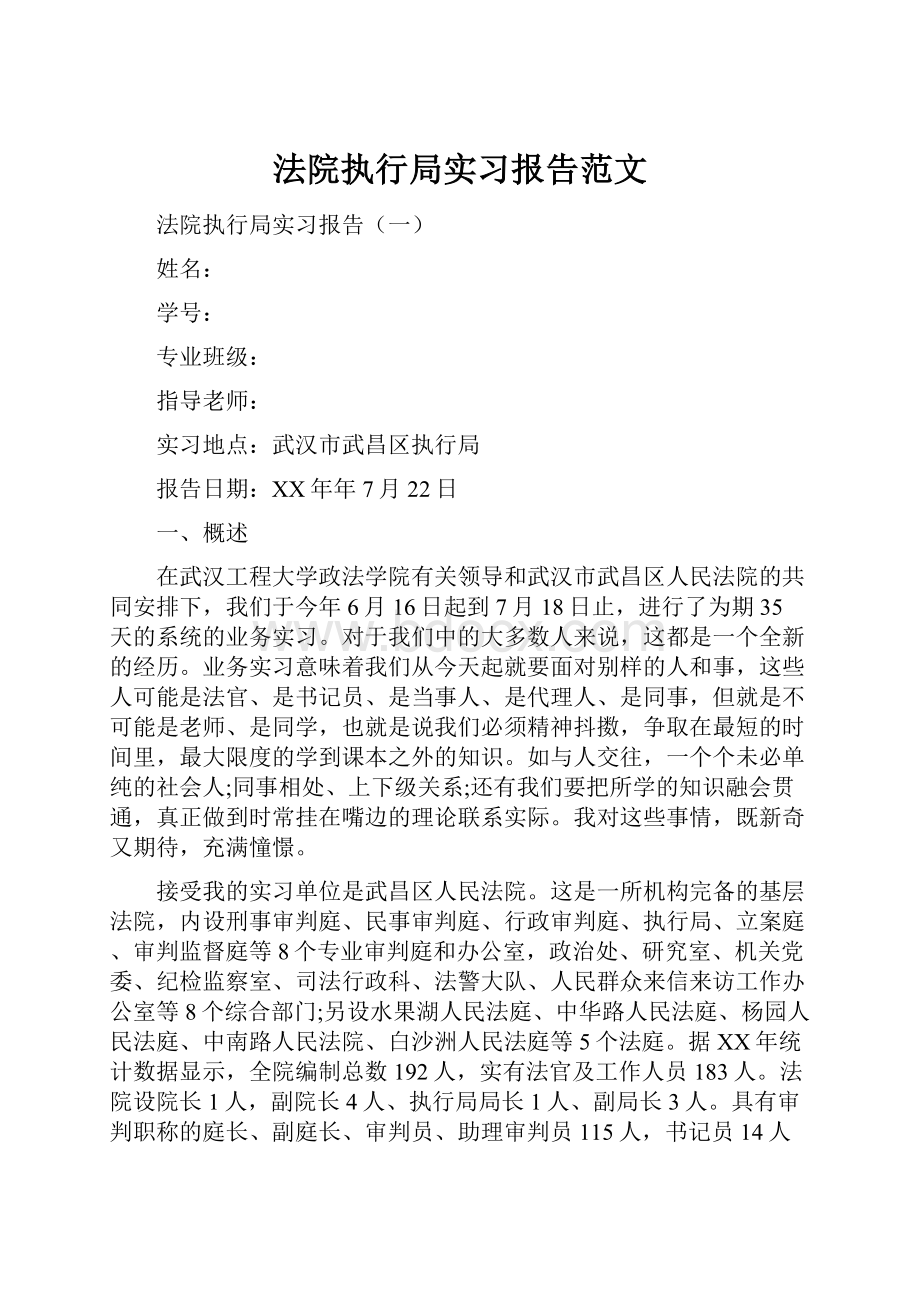 法院执行局实习报告范文.docx