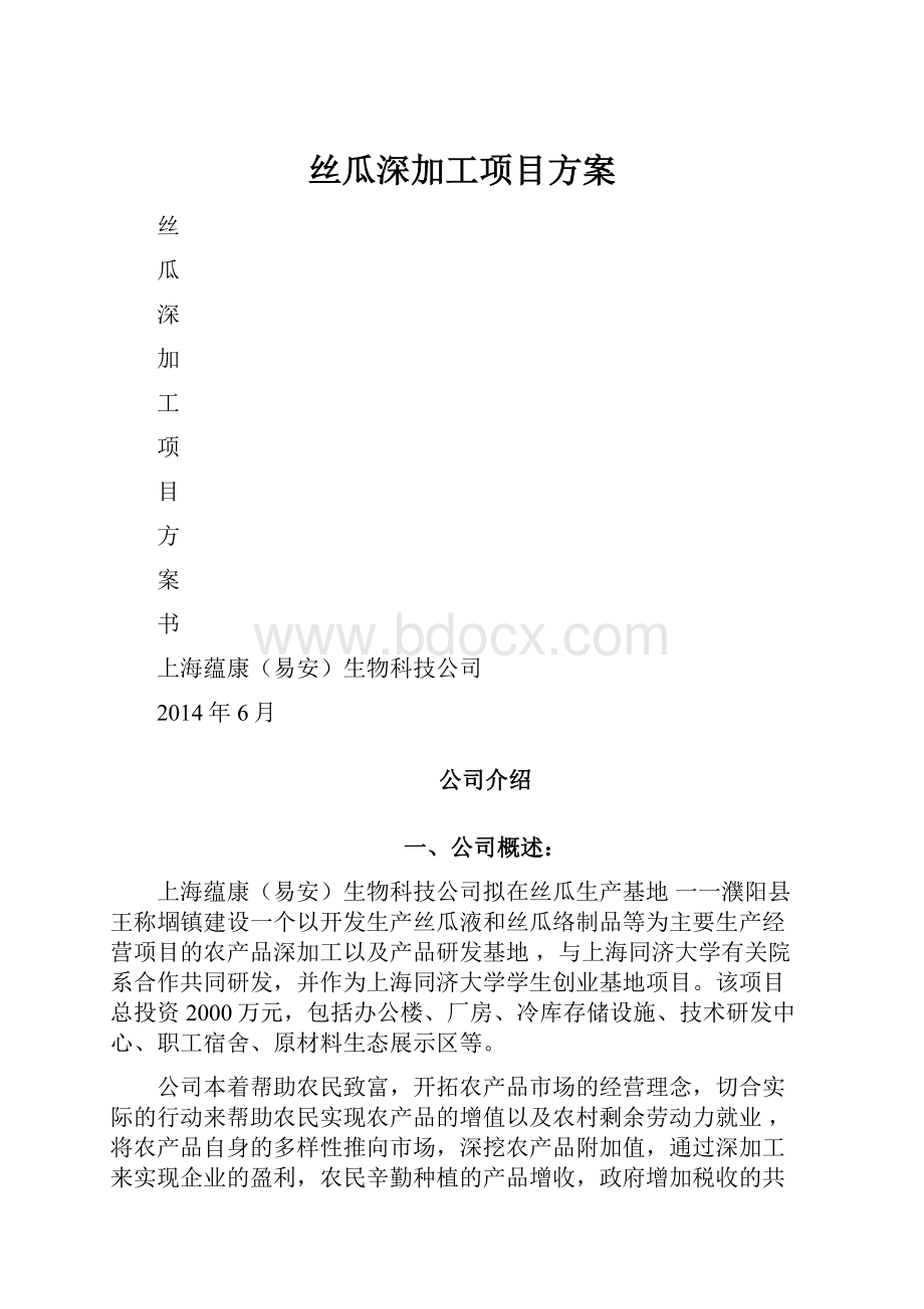 丝瓜深加工项目方案.docx