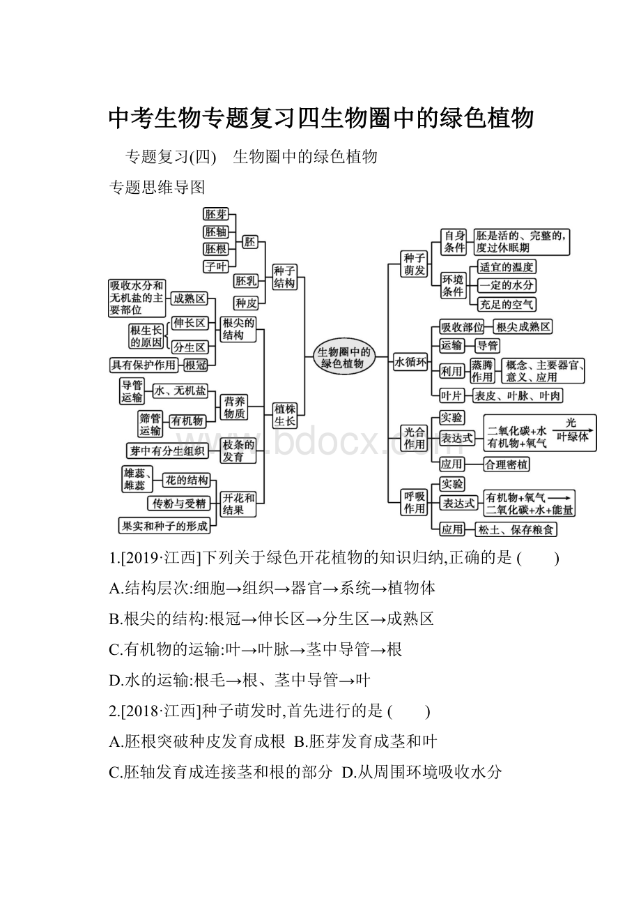 中考生物专题复习四生物圈中的绿色植物.docx