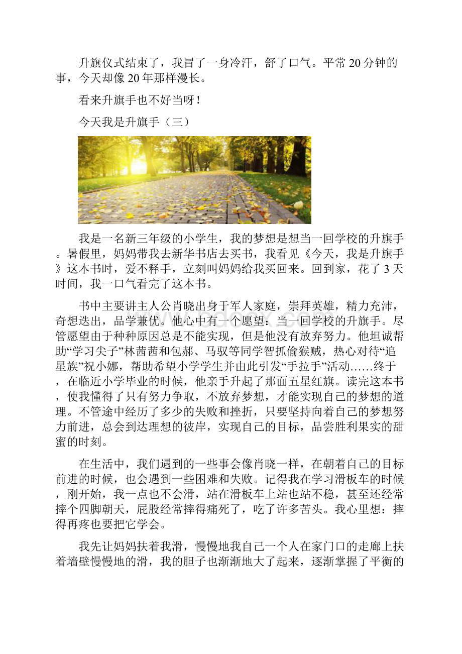 今天我是升旗手共10篇.docx_第3页