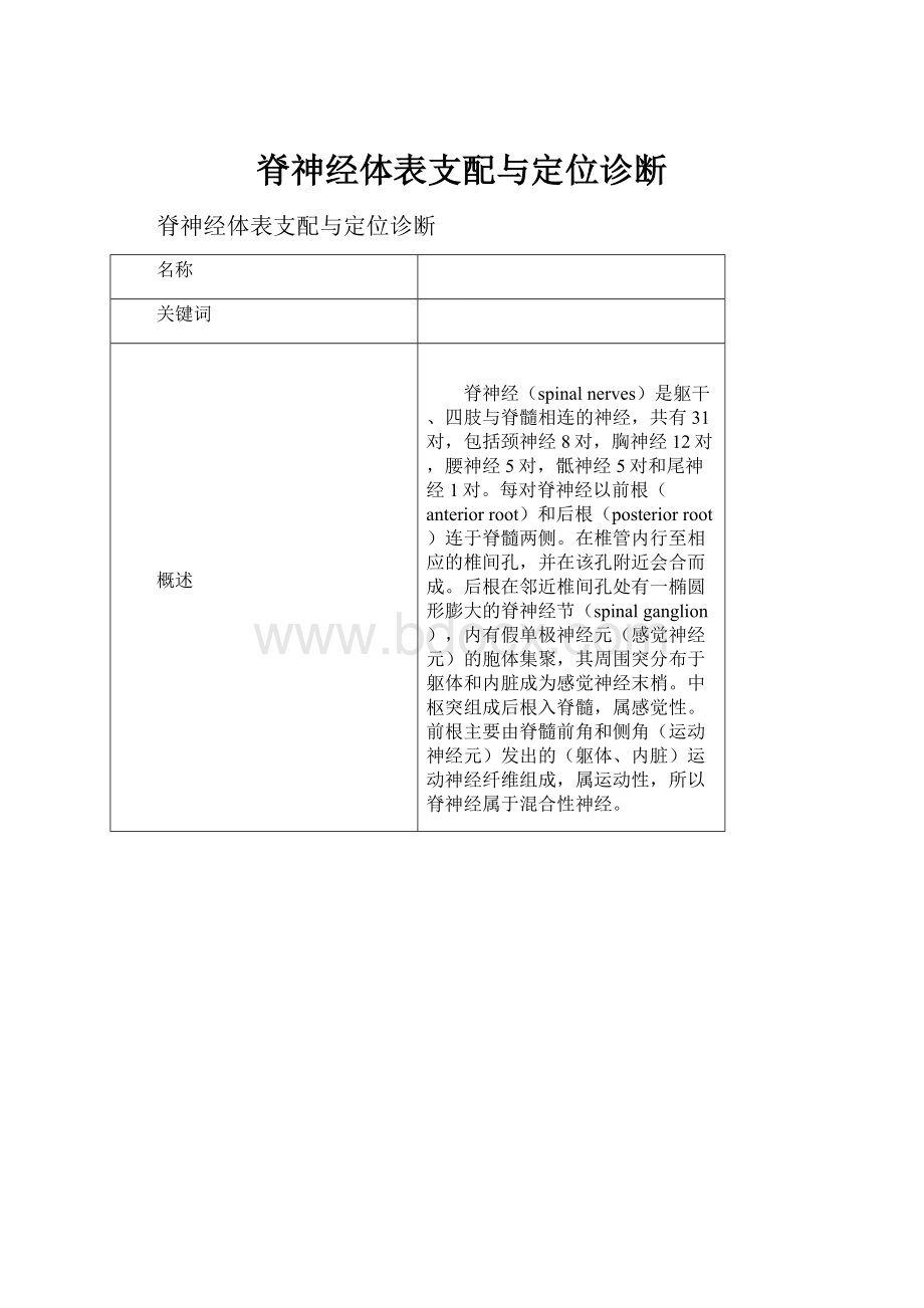 脊神经体表支配与定位诊断.docx_第1页