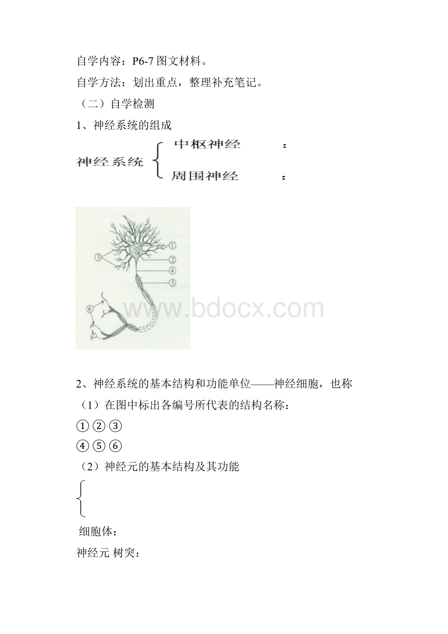 神经系统中信息的传递和调节导学案.docx_第2页