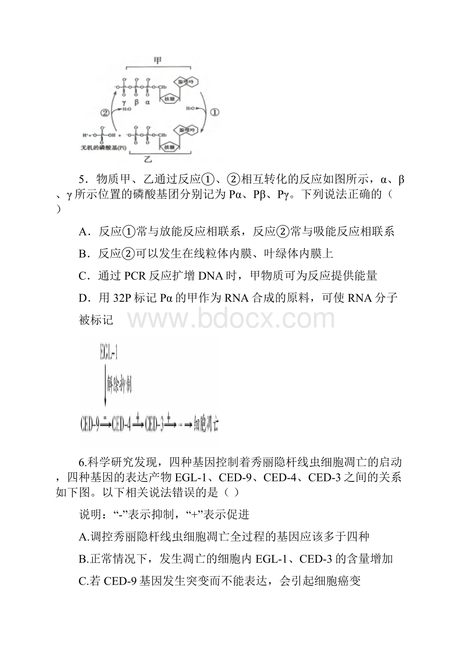 山东省济南大学城实验高级中学届高三生物下学期份模拟考试试题doc.docx_第3页