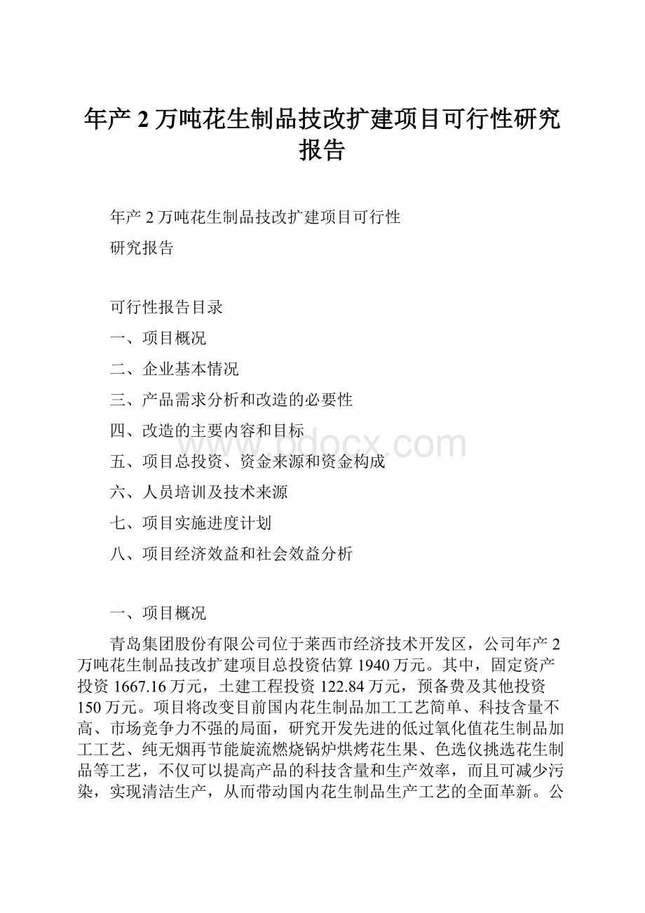 年产2万吨花生制品技改扩建项目可行性研究报告.docx