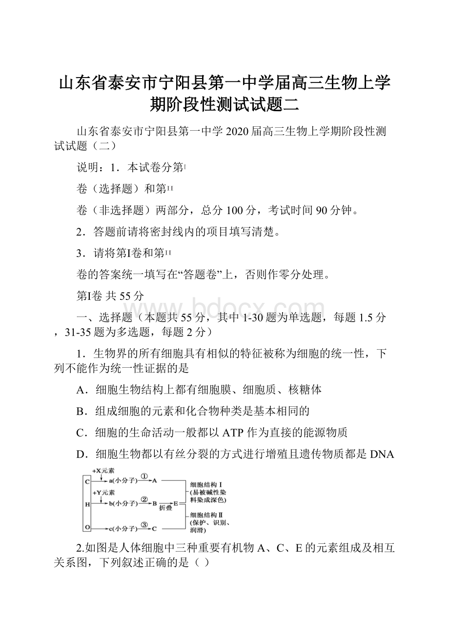 山东省泰安市宁阳县第一中学届高三生物上学期阶段性测试试题二.docx