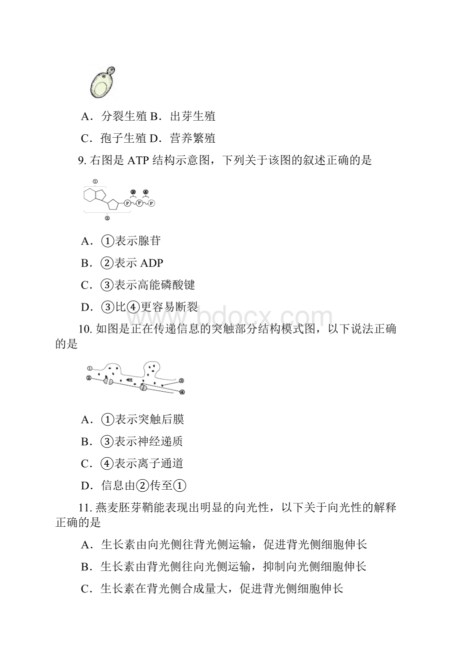 上海市静安区高二高三一模生物试题及答案Word版.docx_第3页