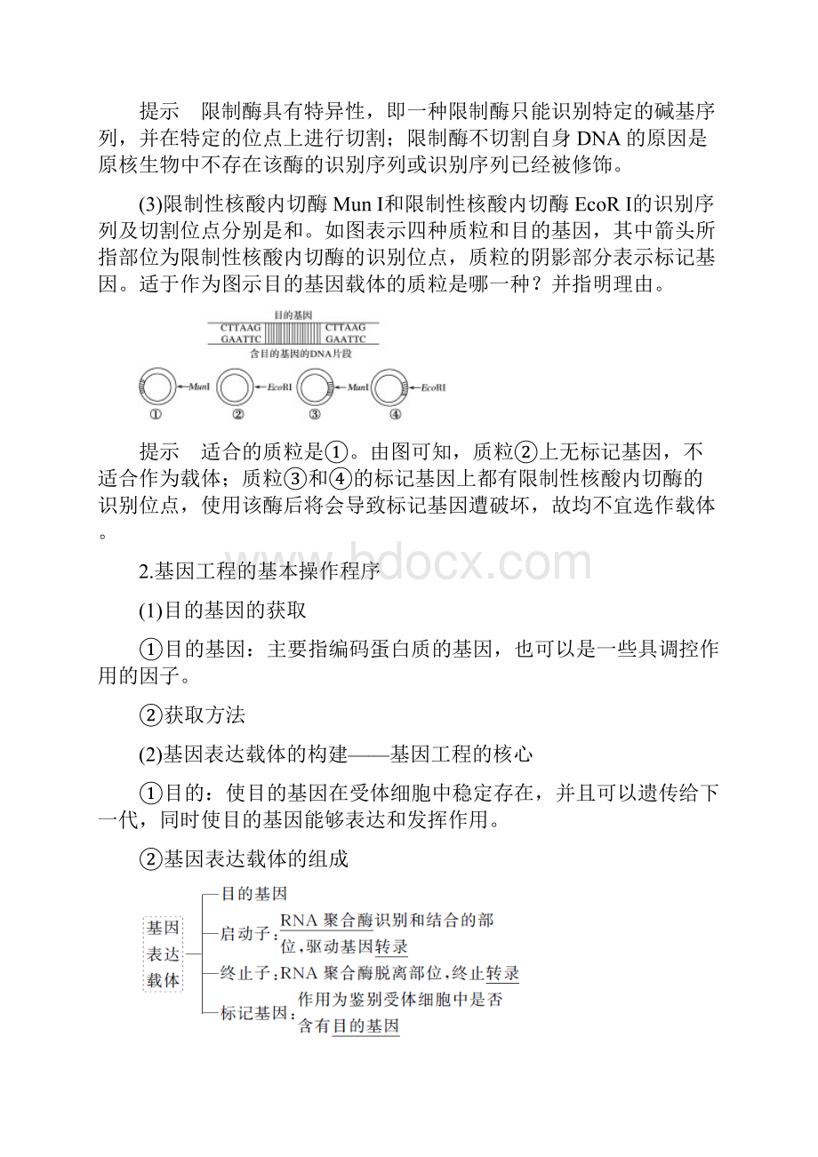 届高考生物总复习选修3选修1基础知识点复习讲义.docx_第3页