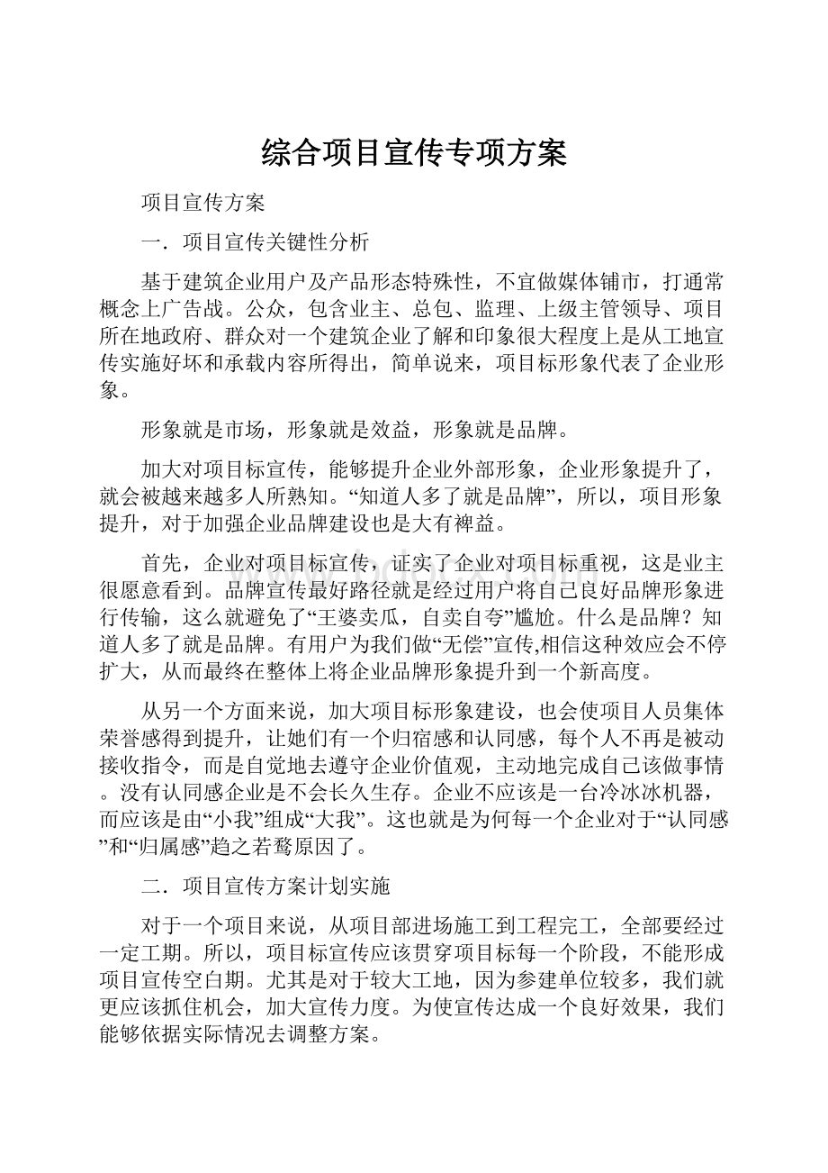 综合项目宣传专项方案.docx