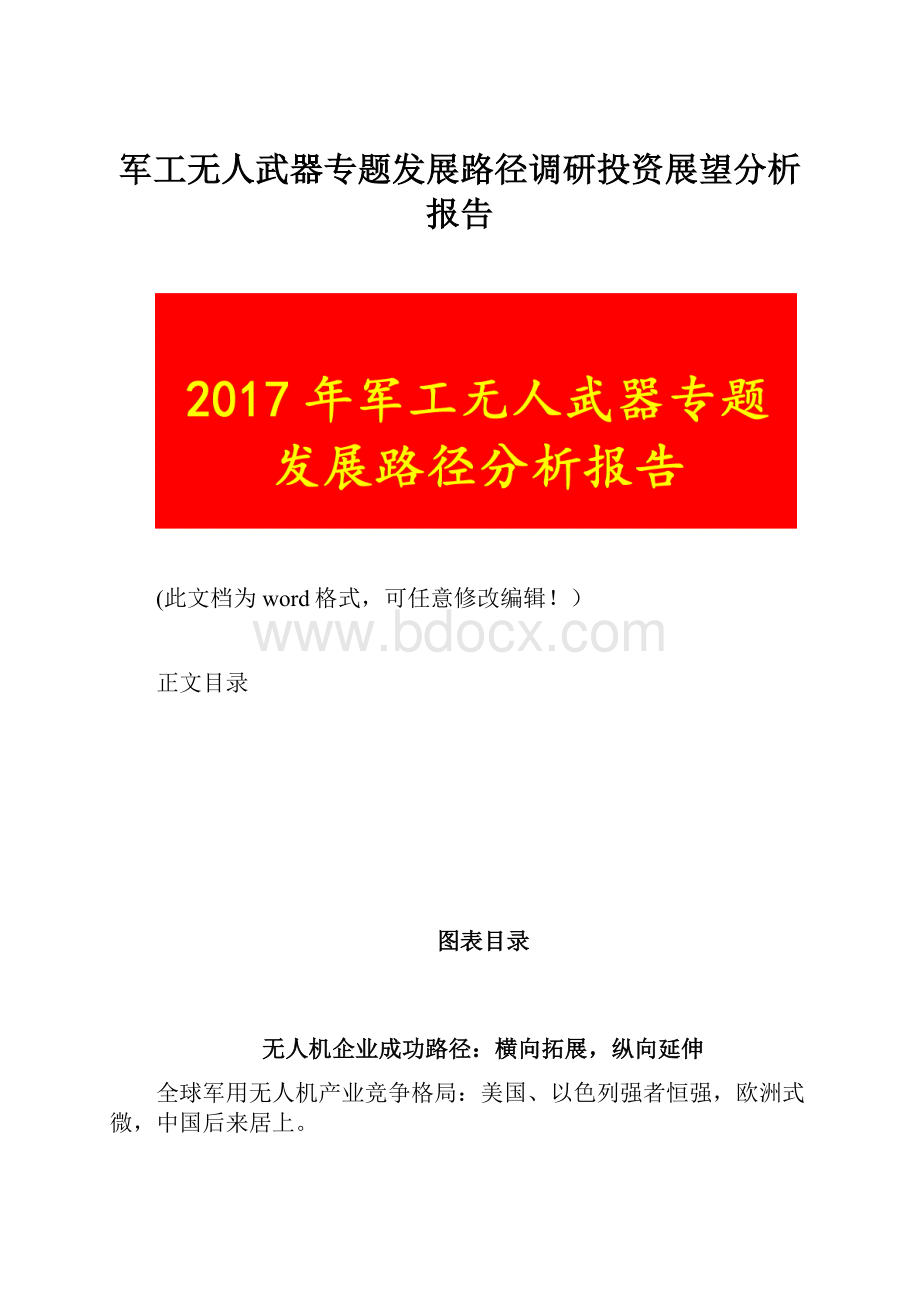 军工无人武器专题发展路径调研投资展望分析报告.docx