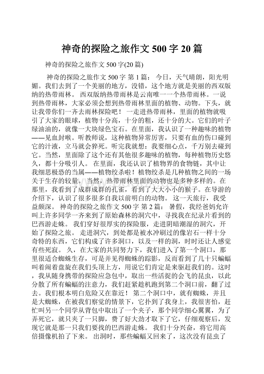 神奇的探险之旅作文500字20篇.docx