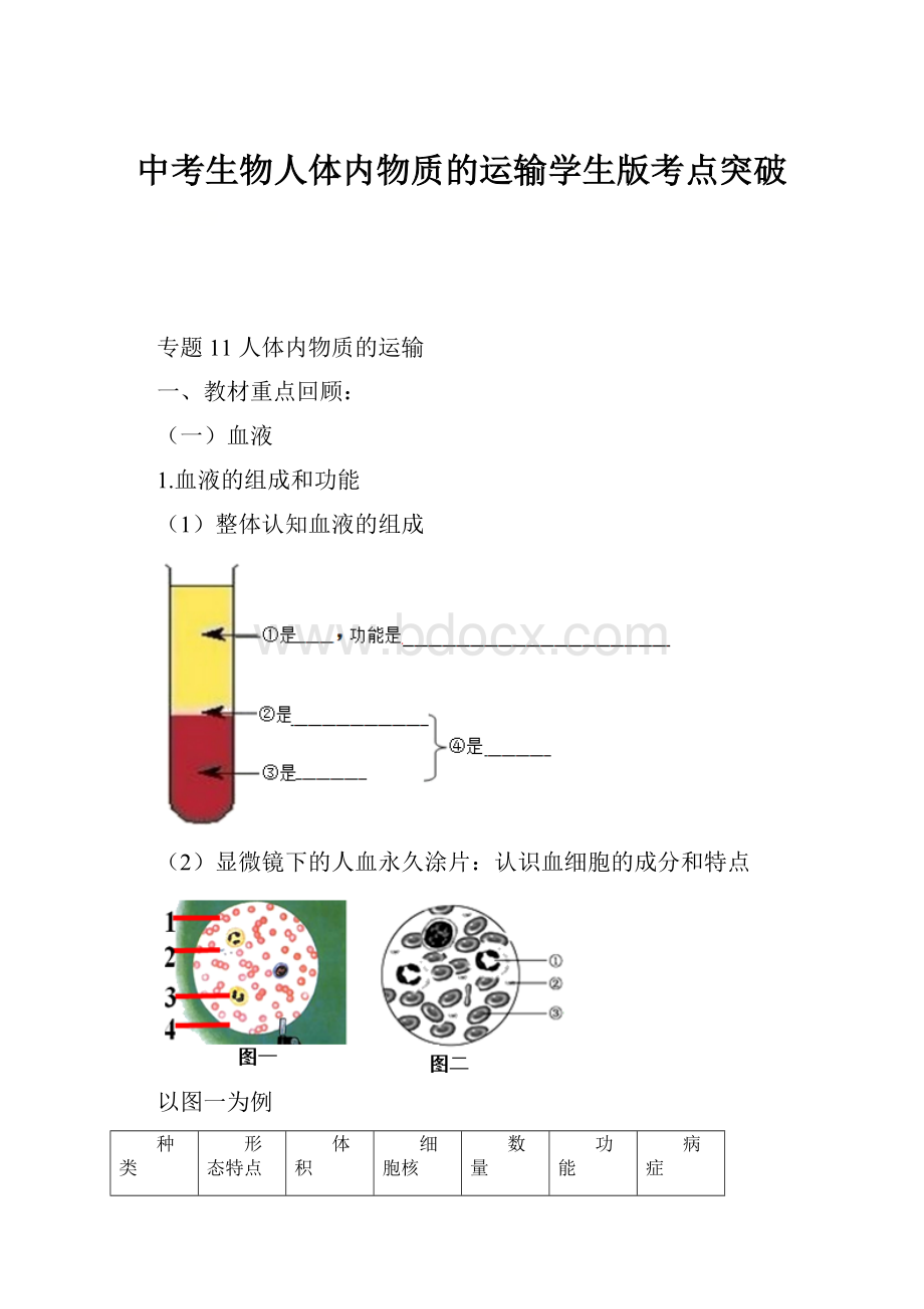 中考生物人体内物质的运输学生版考点突破.docx