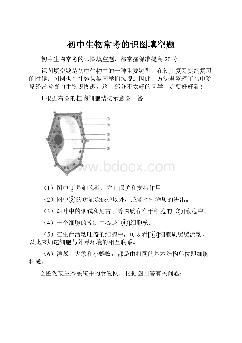 初中生物常考的识图填空题.docx_第1页