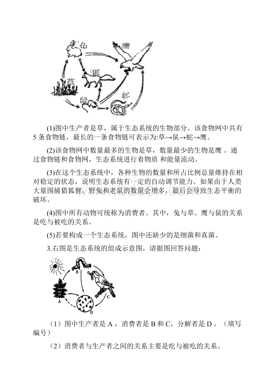 初中生物常考的识图填空题.docx_第2页