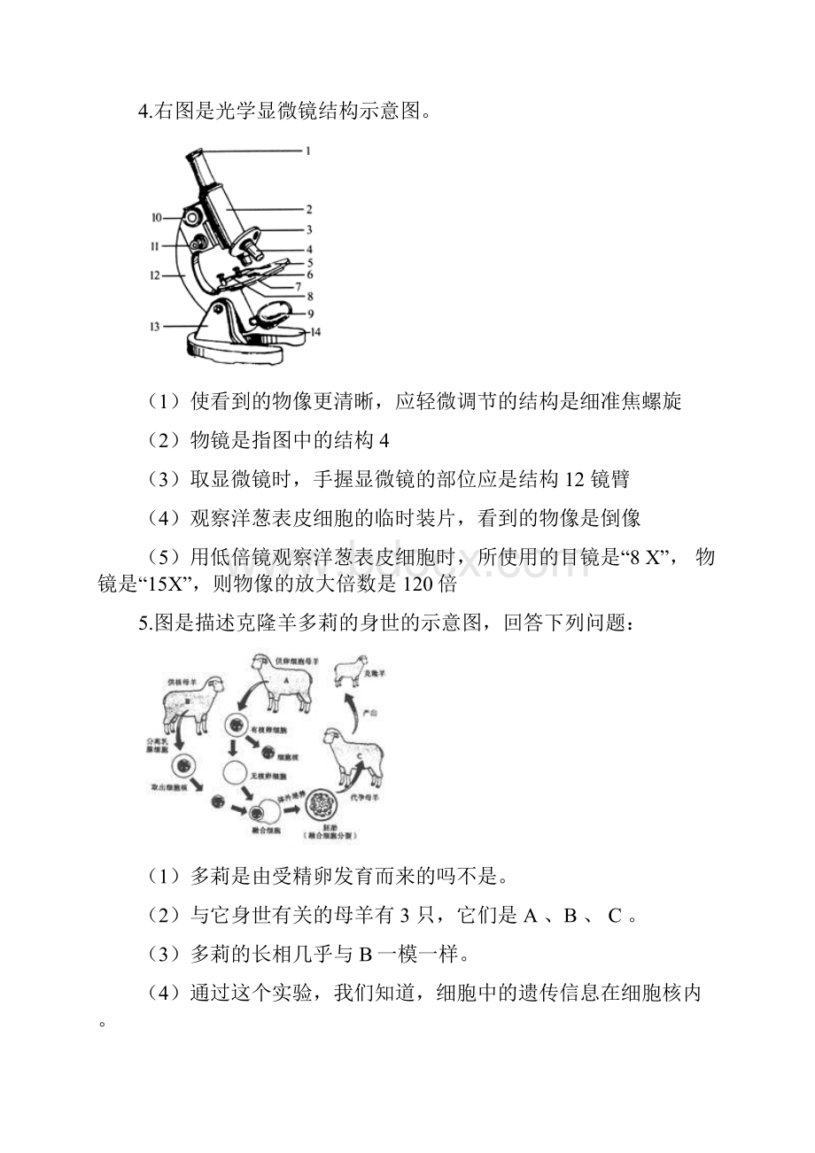 初中生物常考的识图填空题.docx_第3页