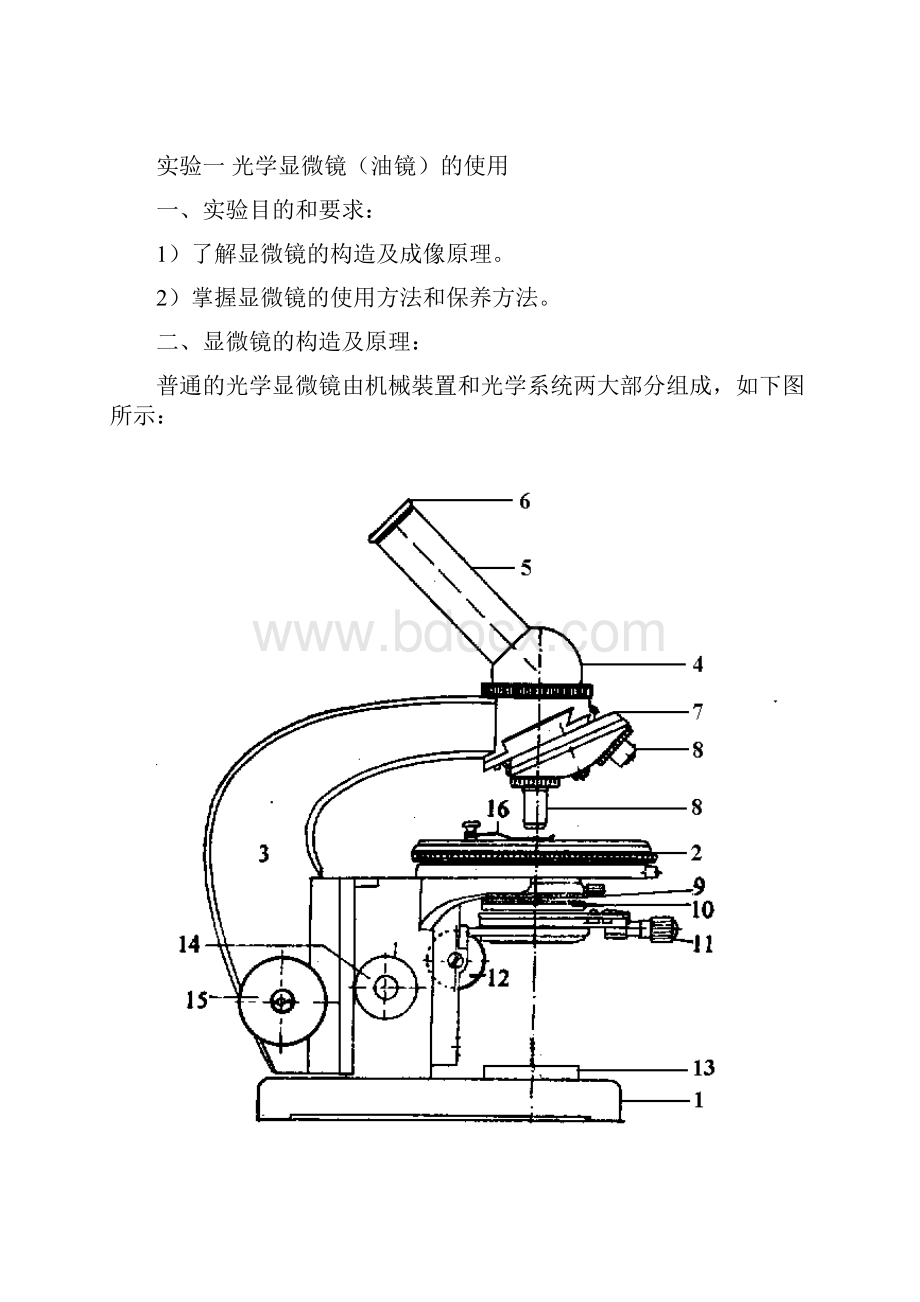 食品微生物学实验指导新国标.docx_第2页