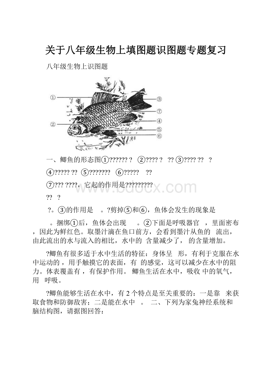 关于八年级生物上填图题识图题专题复习.docx