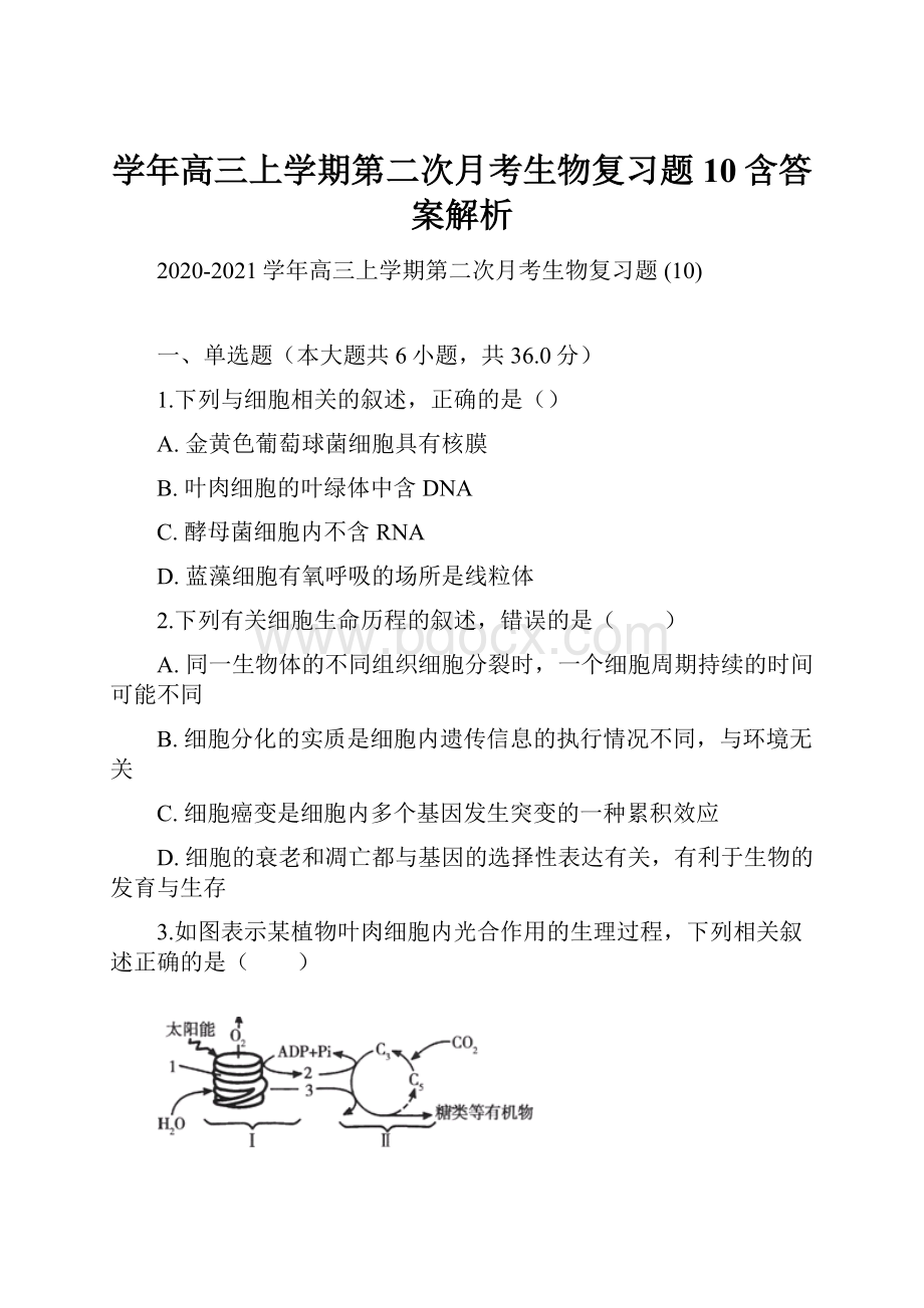 学年高三上学期第二次月考生物复习题 10含答案解析.docx_第1页