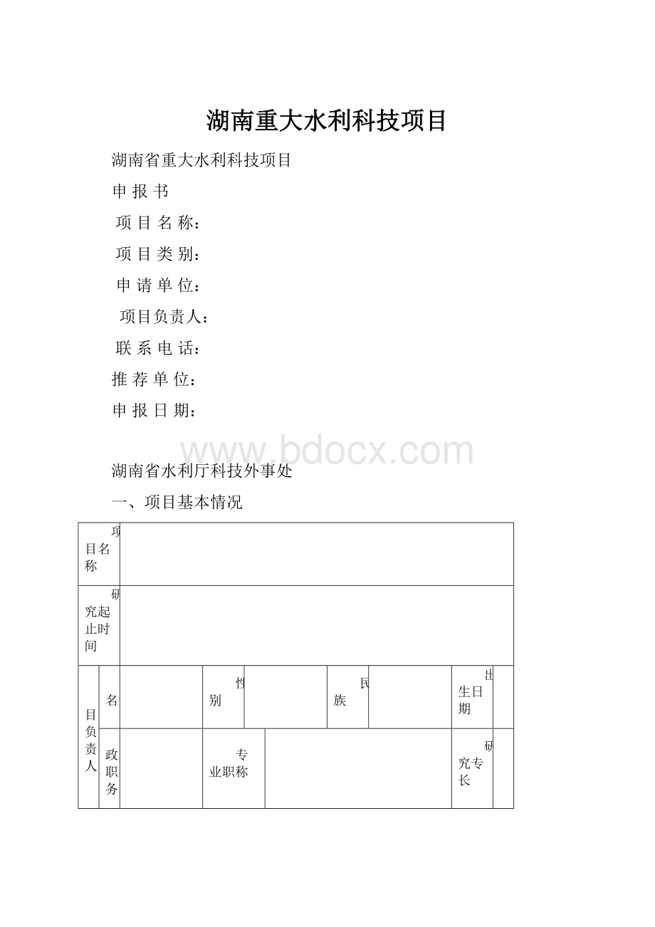 湖南重大水利科技项目.docx