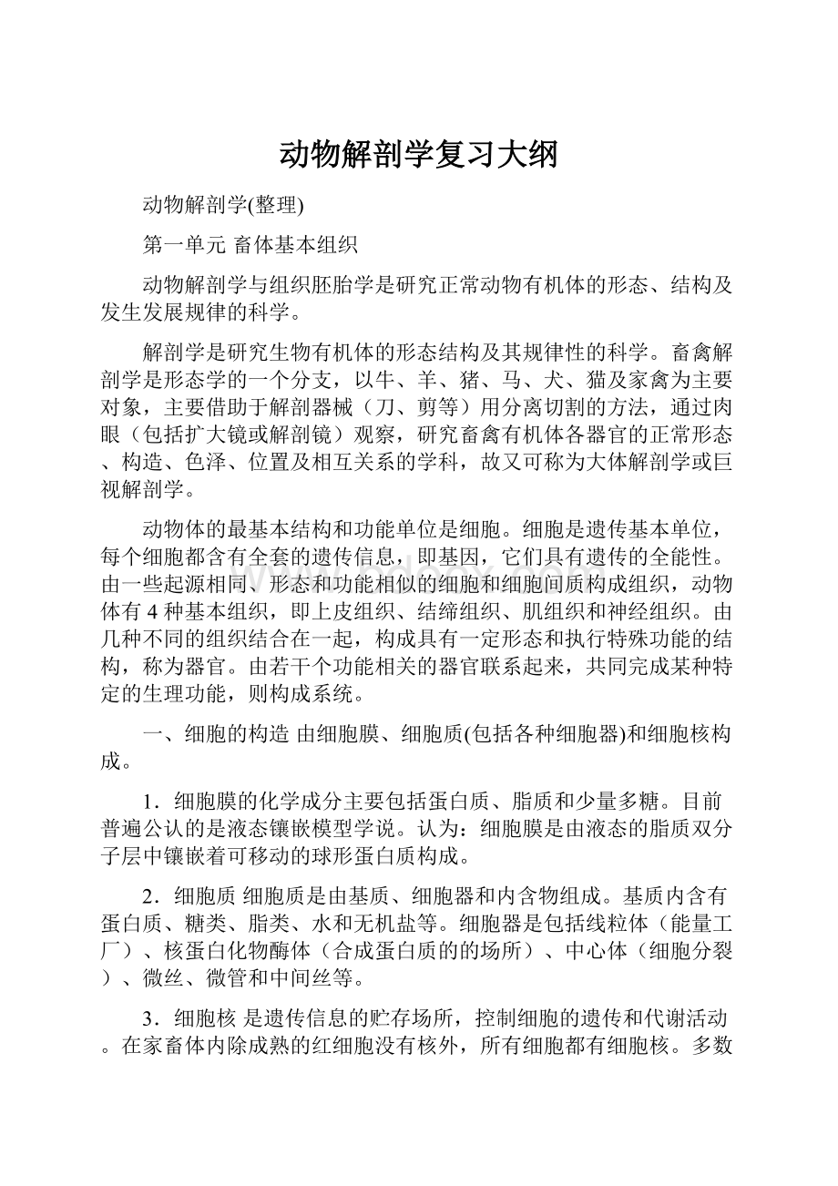 动物解剖学复习大纲.docx