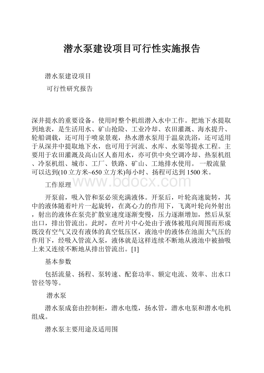 潜水泵建设项目可行性实施报告.docx