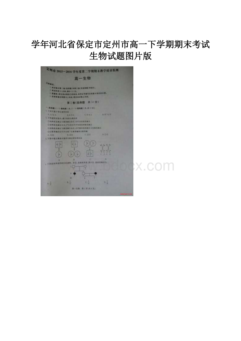 学年河北省保定市定州市高一下学期期末考试生物试题图片版.docx