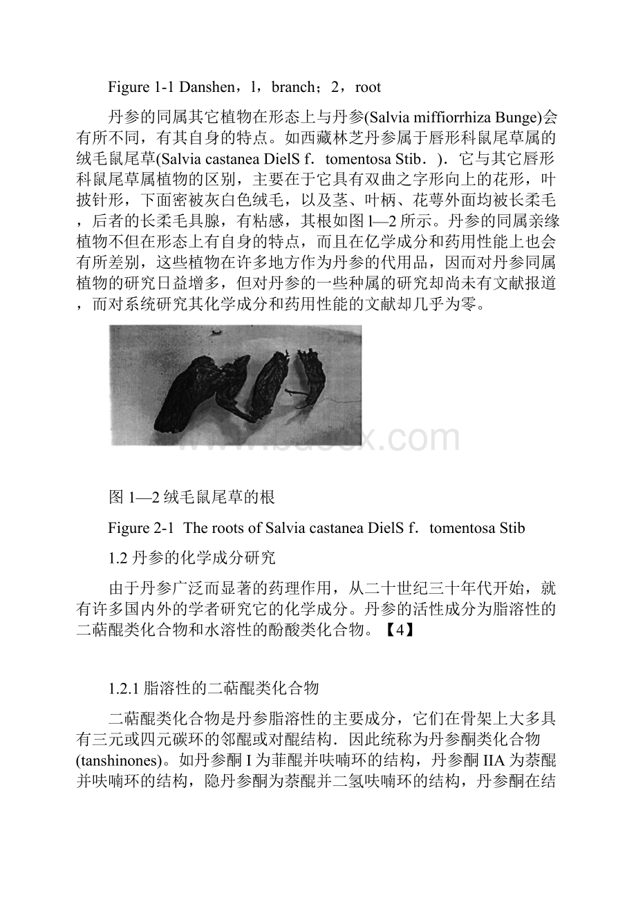 丹参中有效成分的研究进展.docx_第3页