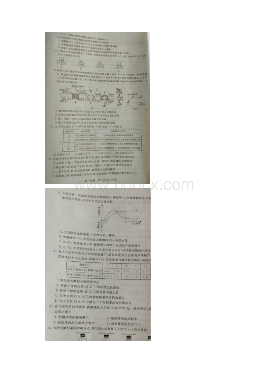 河北省定州市学年高一年级上学期期末考试生.docx_第3页