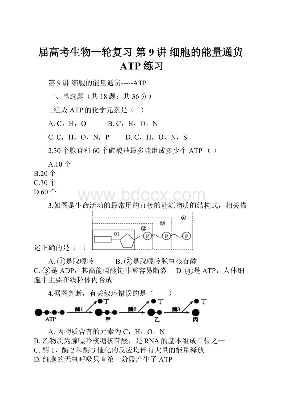 届高考生物一轮复习 第9讲 细胞的能量通货ATP练习.docx