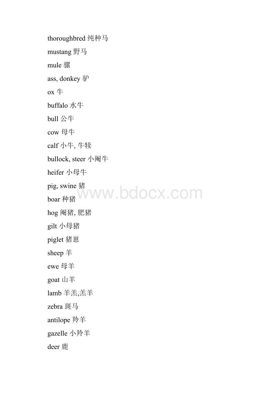 常见英文动物名称.docx_第2页