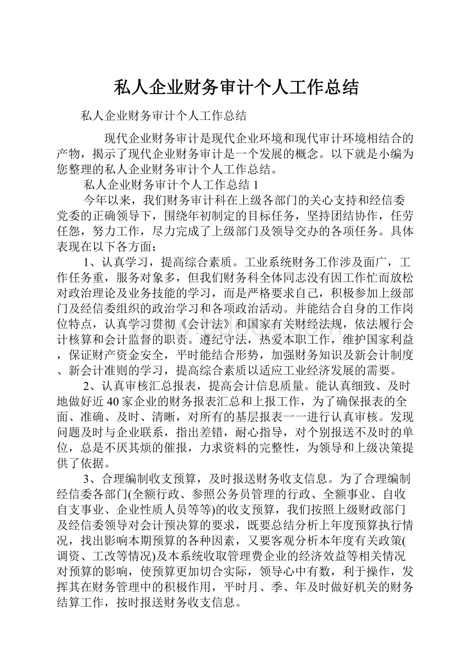 私人企业财务审计个人工作总结.docx_第1页