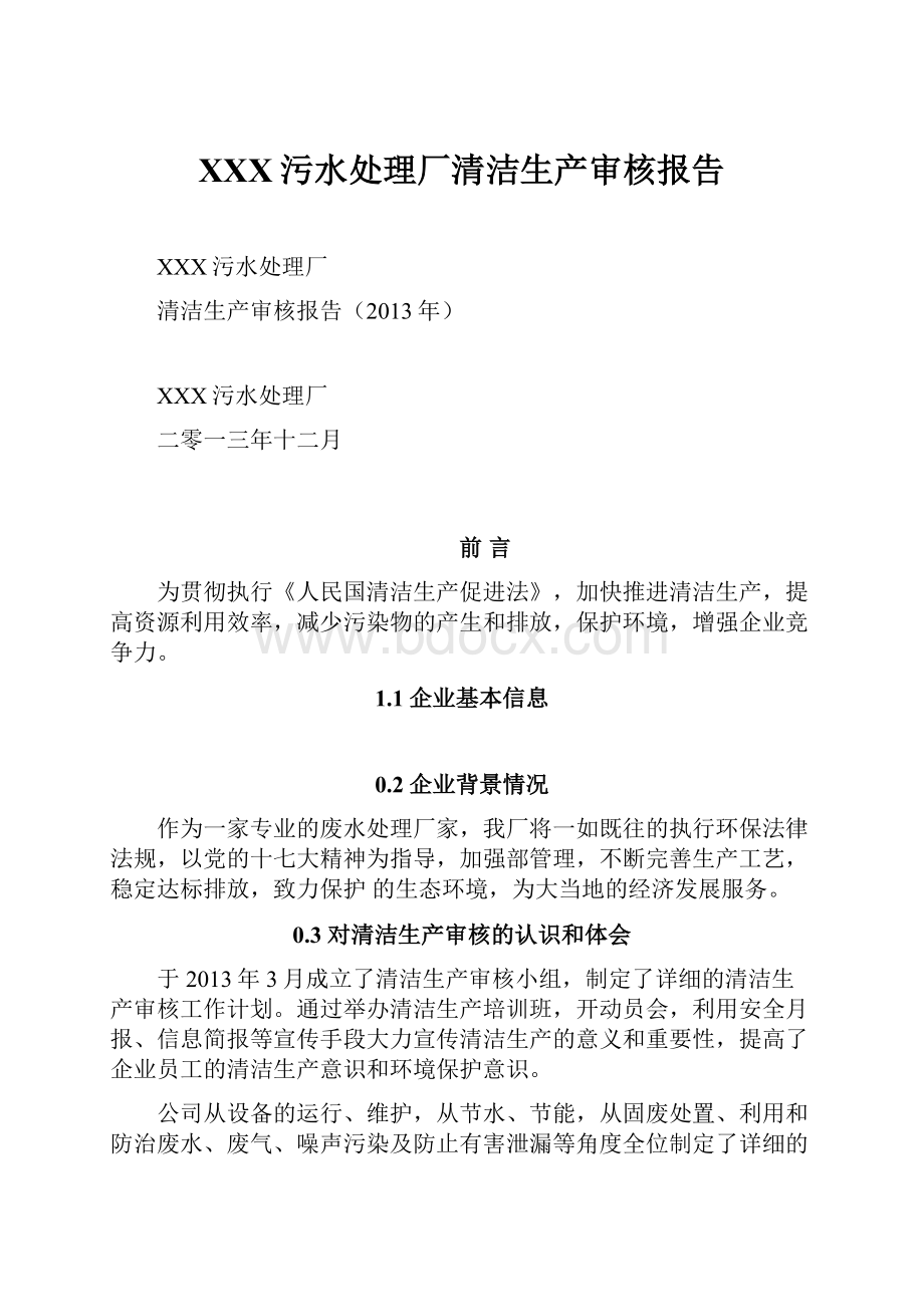 XXX污水处理厂清洁生产审核报告.docx