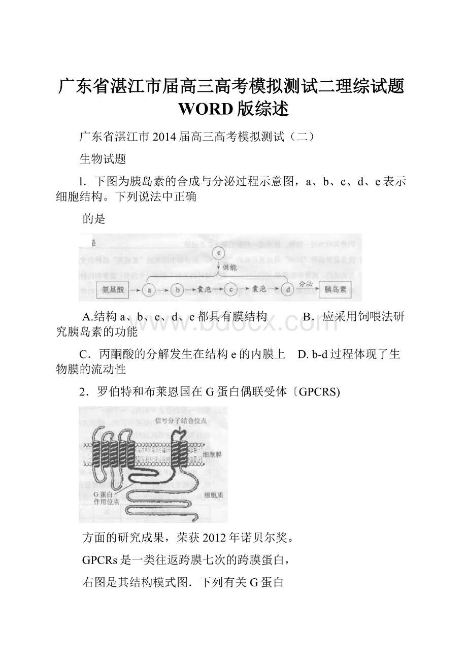 广东省湛江市届高三高考模拟测试二理综试题WORD版综述.docx