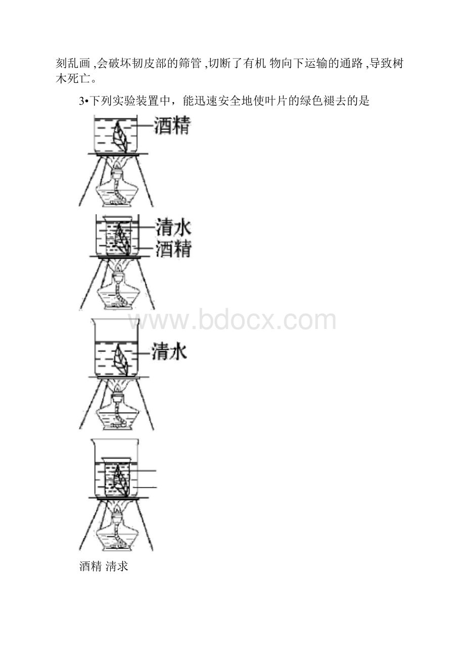 中考生物专题训练光合作用呼吸作用和蒸腾作用带解析.docx_第2页