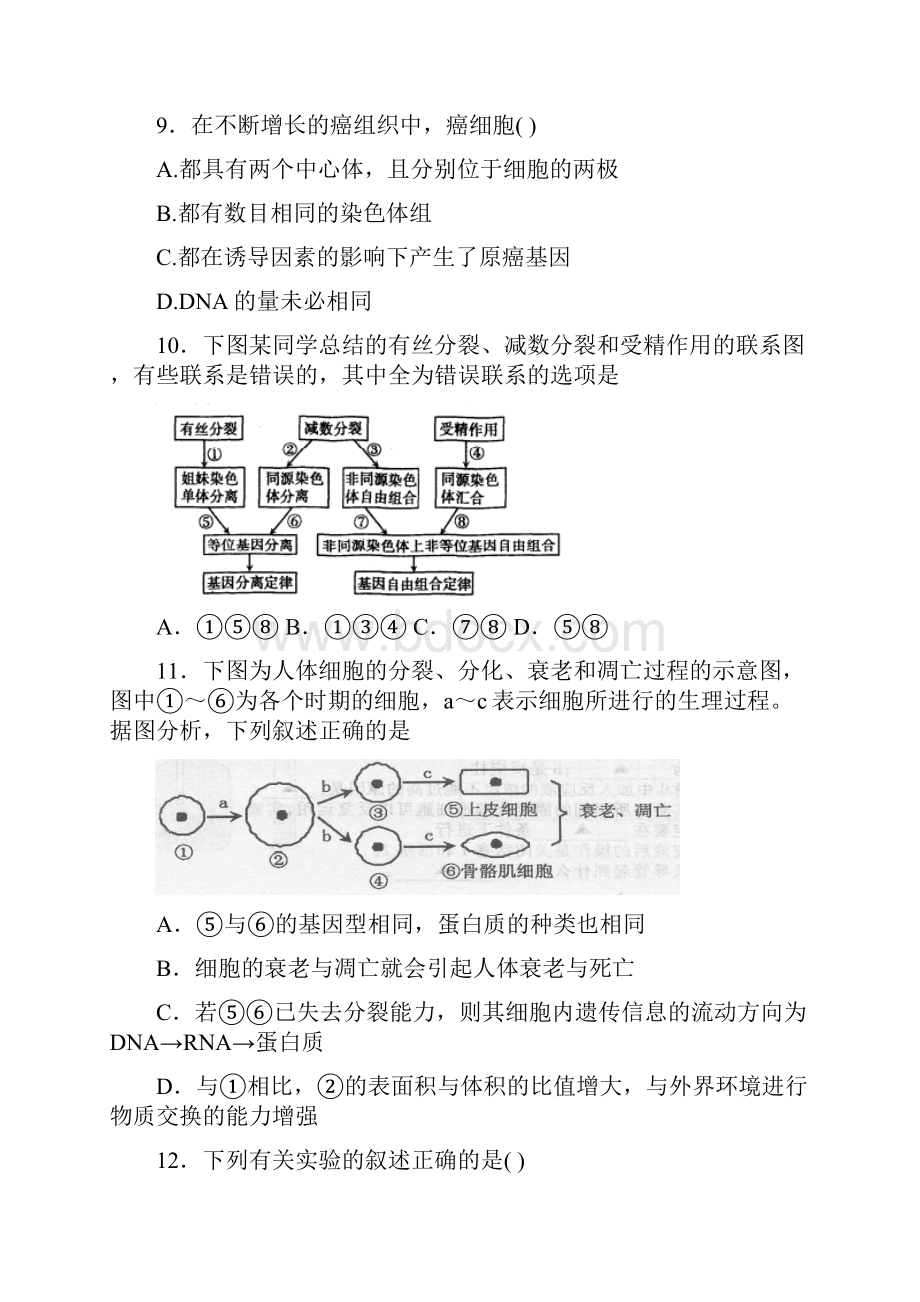 新人教版高中生物必修一第六章细胞的生命历程 学年能力提升检测试题doc.docx_第3页