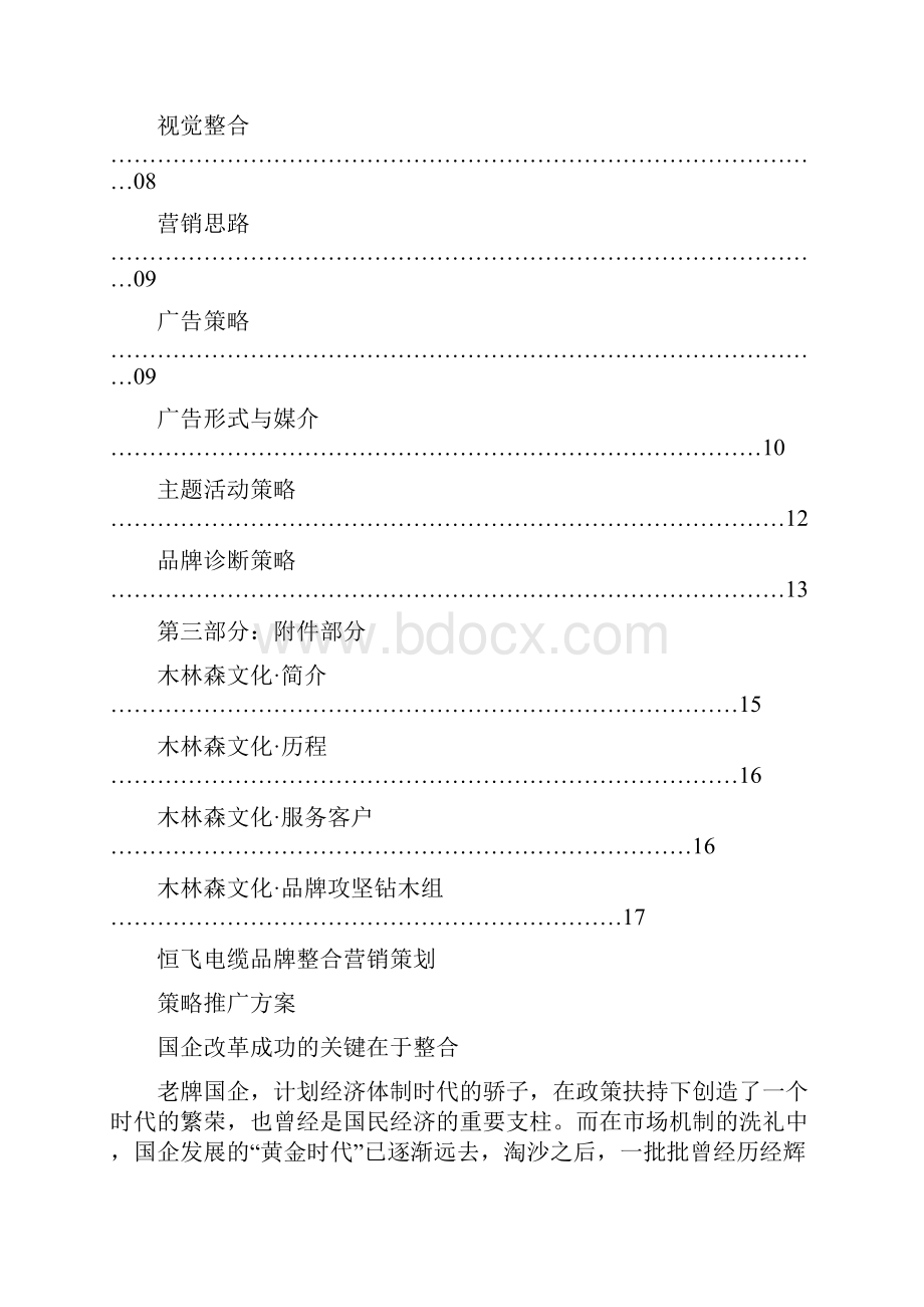 木林森文化恒飞电缆品牌整合营销策划策略推广方案.docx_第2页